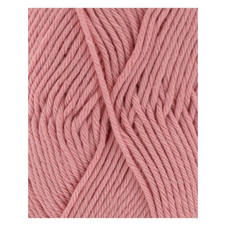 Phil Coton 4 rose saumon