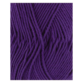 Phil Coton 4 violet