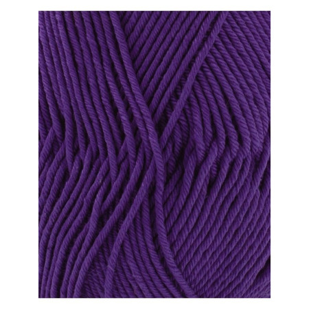 Phil Coton 4 violet