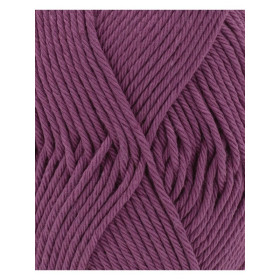 Phil Coton 4 amarante