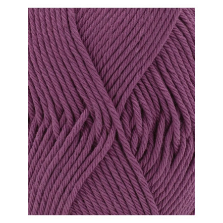 Phil Coton 4 amarante