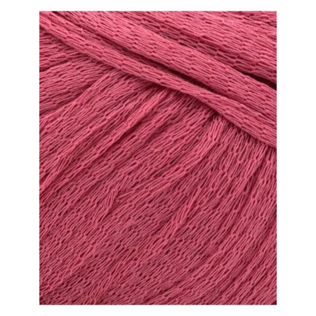 Phil Eucalyptus Rose des sables