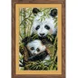 Kit de broderie Panda avec jeune