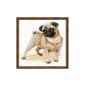 Embroidery kit Pug Dog