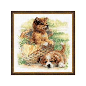 Riolis Kit de broderie Âge tendre