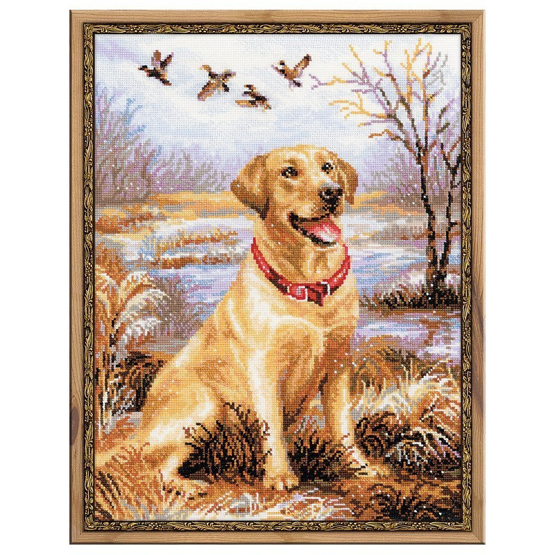 Kit de broderie Labrador