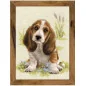 Kit de broderie Chiot Basset Hound