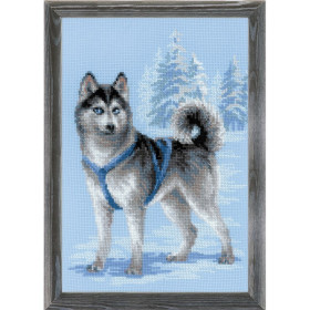 Riolis Kit de broderie Husky