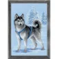 Kit de broderie Husky