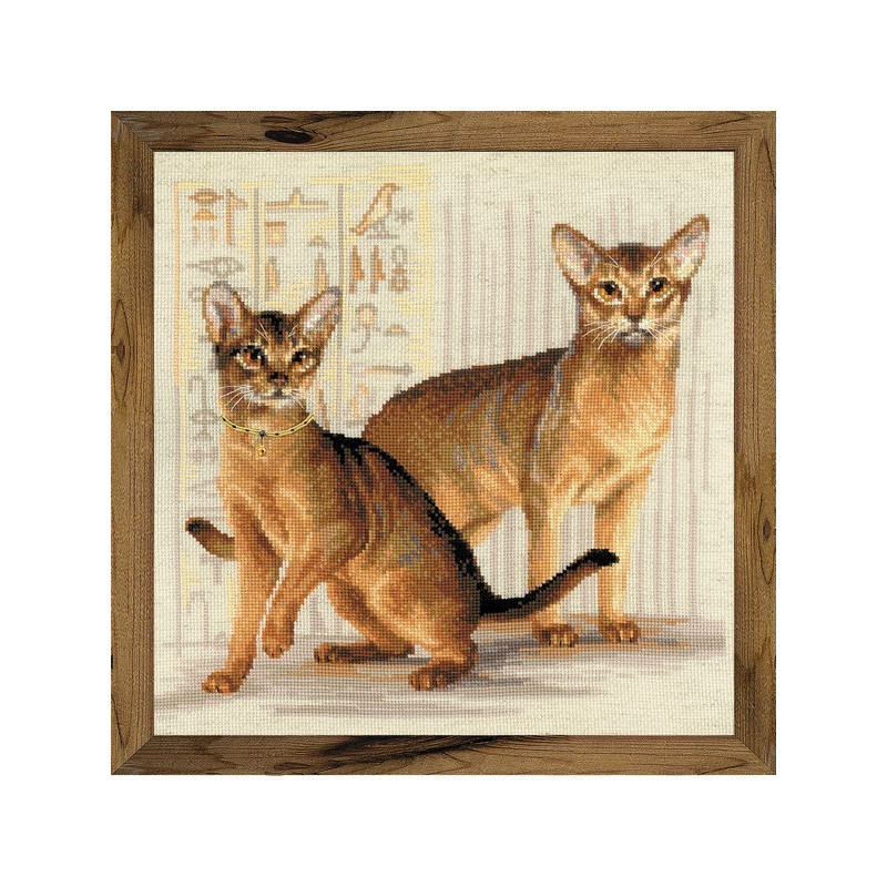 Kit de broderie Chats Abyssins