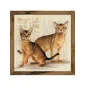 Kit de broderie Chats Abyssins