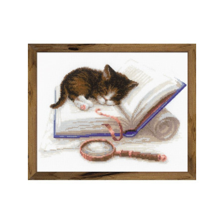 Riolis Kit de broderie Chaton sur le livre