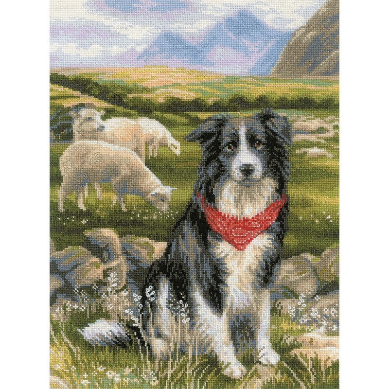 Kit de broderie Border collie