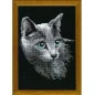 Kit de broderie Chat Bleu Russe