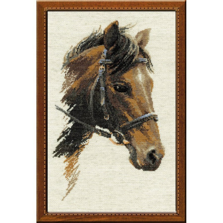 Riolis Kit de broderie Boulat