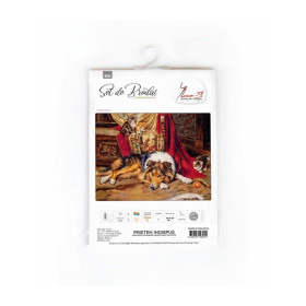 Kit de broderie Un compagnon de jeu réticent