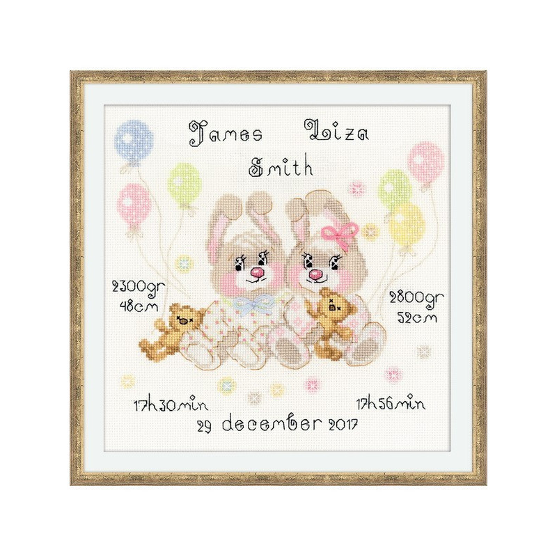 Embroidery kit Twins Birth Announcement