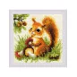 Embroidery kit Squirrel