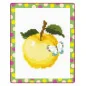 Kit de broderie Pomme Kit de broderie Pomme