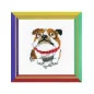 Kit de broderie Bulldog anglais
