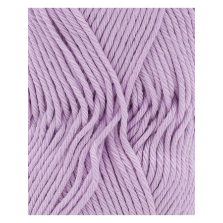 Phil Coton 4 lilas