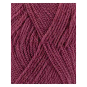 Phil Super Baby Lie de vin