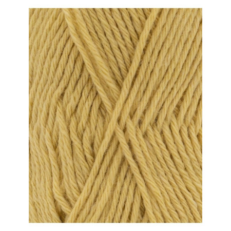 Phil Partner 3,5 Paille