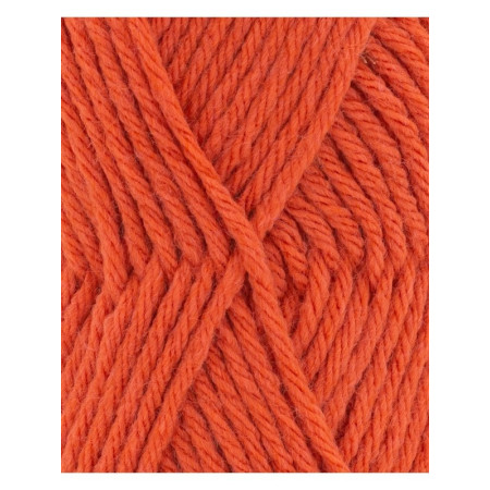 Phil Partner 6 Vitamine