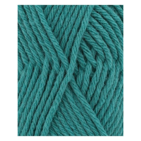 Phil Partner 6 Veronese