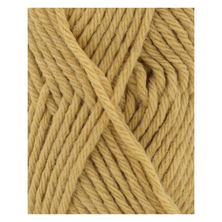 Phil Partner 6 Paille