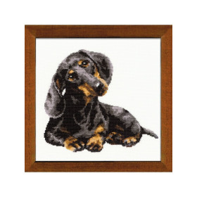 Riolis Kit de broderie Teckel