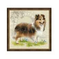Embroidery kit Sheltie