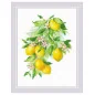 Kit de broderie Citrons brillants