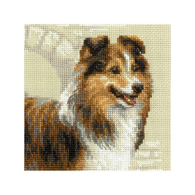 Kit de broderie Sheltie