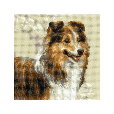 Kit de broderie Sheltie