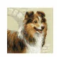 Kit de broderie Sheltie Kit de broderie Sheltie