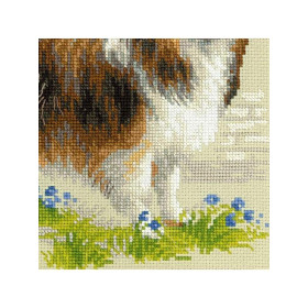 Riolis Kit de broderie Sheltie