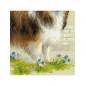 Kit de broderie Sheltie Kit de broderie Sheltie