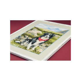 Riolis Kit de broderie Border collie