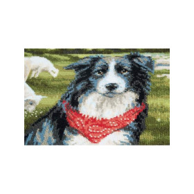 Riolis Kit de broderie Border collie