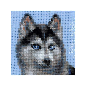 Kit de broderie Husky