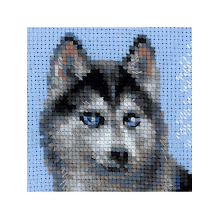 Kit de broderie Husky