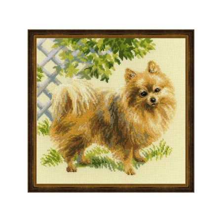 Kit de broderie Spitz loup