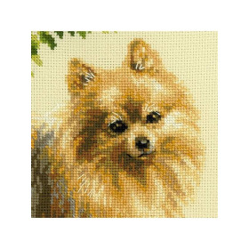 Riolis Kit de broderie Spitz loup