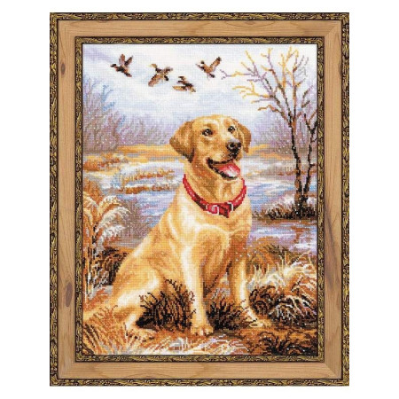 Kit de broderie Labrador