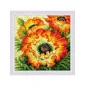 Embroidery kit Fire Poppies