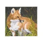 Printed Aida kit Fox