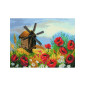 Printed Aida Sultry poppies
