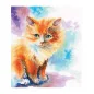 Embroidery kit Sunny kitten Embroidery kit Sunny kitten