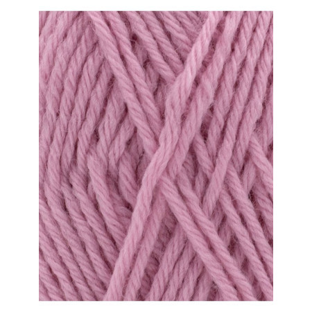 Phil Partner 3,5 Guimauve